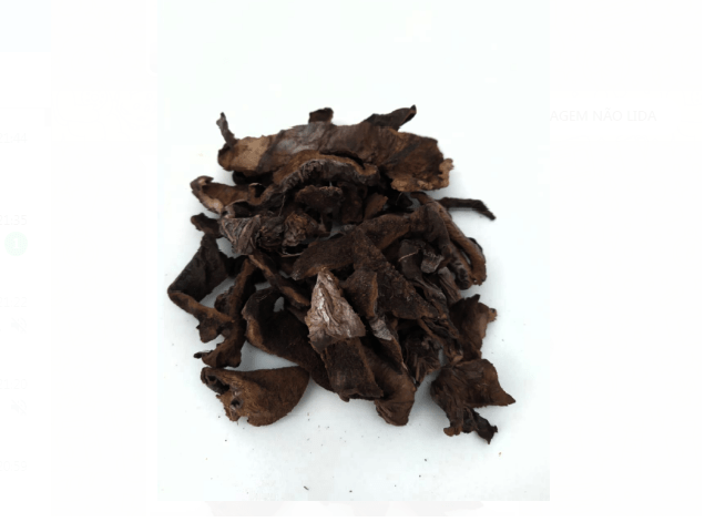 FUNGHI SECO - 100 GRAMAS