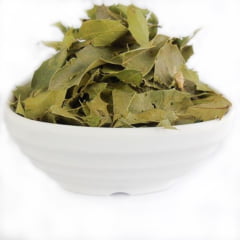 ESPINHEIRA SANTA - BIOFLORA 60 CÁPSULAS 500mg