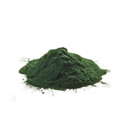 SPIRULINA PÓ - 100 GRAMAS