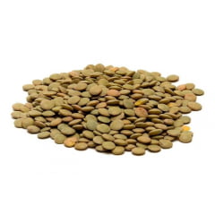 LENTILHA CANADENSE - 100 GRAMAS